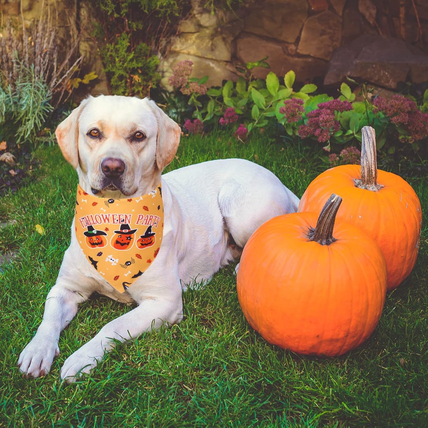 2 Pack Halloween Dog Bandana, Reversible Triangle Dog Scarf Accessories Halloween Bandanas for Small Medium Large Dogs Pets (Purple & Yellow)